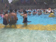 -重庆海昌加勒比海水世界
