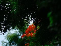 -维乐口腔医院(星海湾分院)