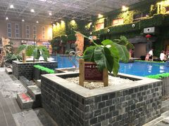 -兴芮温泉度假区