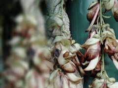 -文华公园(禅城区)