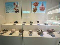 -安徽省地质博物馆