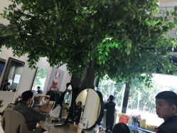 -OnHair Salon