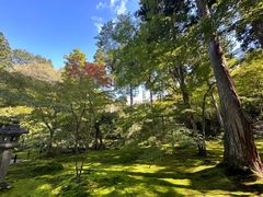 -三千院