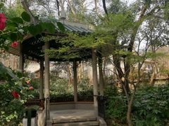 -华山儿童公园