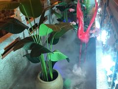 -十二饭点·川菜(北站圆融店)
