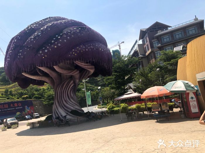 普达.芒果乐园图片