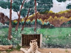 -西霞口神雕山野生动物世界