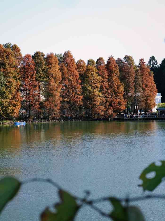 中國科學院華南植物園-