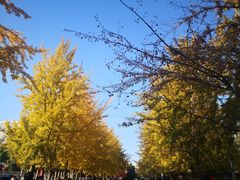 -辽宁大学(崇山校区)
