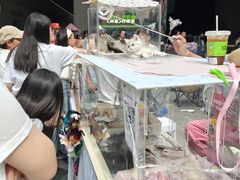 -中粮·祥云小镇