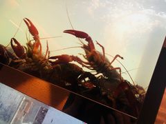 -童福兴·南京菜(老门东店)