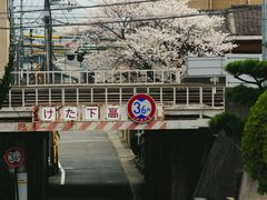 android_upload_pic-江户樱花旅馆