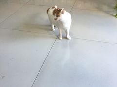 -惠康宠物医院(华能路店)