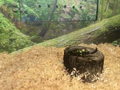 -上海昆虫博物馆