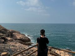 -广东惠东海龟国家级自然保护区