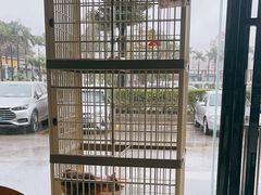 -乐琪宠物医院·犬猫专科·骨外科·急重症