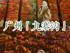 -云溪植物园