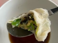 西葫芦水饺-岳姥姥饺子(泺文路店)