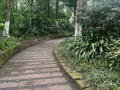 -成都市活水公园