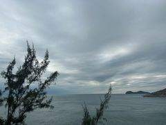 -广东惠东海龟国家级自然保护区