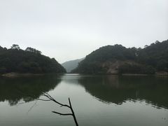 -广州市石门国家森林公园