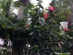 -广州市紫泥堂文化创意园景区
