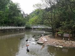 -黔灵山公园