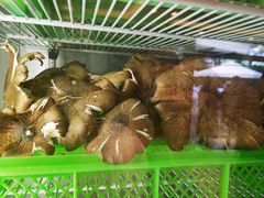 -山菌美食苑(振兴路店)
