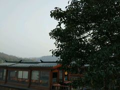 -西湖外事游船(花港观鱼码头)