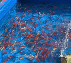 -萌宠亲子动物乐园(槐房万达店)