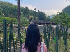 -MOJ coffee(瓯海泽雅水碓坑店)