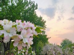 -海棠花溪(元大都城垣遗址公园)