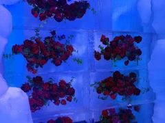 -世界之窗阿尔卑斯冰雪世界