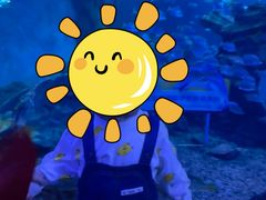 -多彩贵州城极地海洋世界