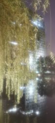 -亚典中科健康汇美容·SPA