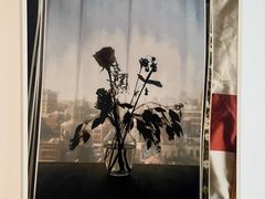 -上海外滩美术馆