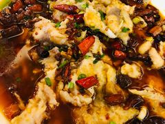 沸腾鱼-钦善斋(武侯祠店)