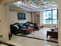 -碧莲盛·不剃发植发