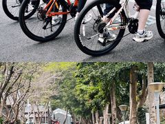 -惠州康帝国际酒店