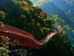 -少华山国家森林公园