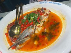 -坛宗剁椒鱼头(河西王府井店)