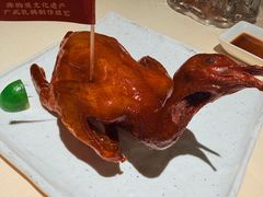 -侨美食家·粤菜(体育西路店)