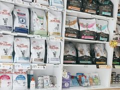 -宠福鑫康馨动物医院·骨科·眼科