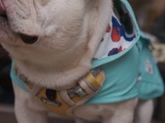 -EAU CAFE(永康路店)