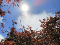 -广州市帽峰山景区