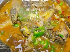 -全乐鱼馆·淳牌有机鱼直营店