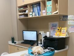 -瑞鹏宠物医院·超声·骨科·奇麟分院(蜀都万达店)