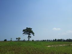 -汉长安城未央宫国家考古遗址公园