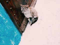 -乌达雅堡