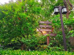 -复旦大学附属华山医院(总院)